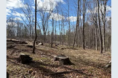 Lot 2 Birch Hill Road, Harwinton, CT 06791 - Photo 3