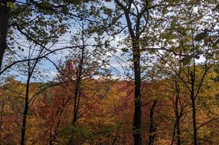 3 Laurelwood Dr, New Fairfield, CT 06812 - Photo 25