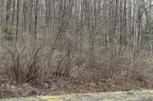 00 Torrington Rd, Litchfield, CT 06759 - Photo 1