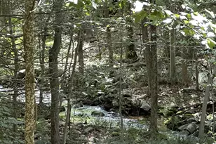 21A South Brook Dr, Stamford, CT 06903 - Photo 23