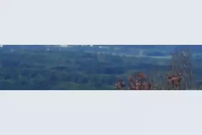 190 Root Road, Somers, CT 06071 - Photo 3