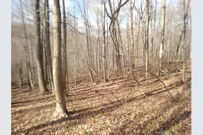 Rte 39 South, State Route, Sherman, CT 06784 - Photo 9