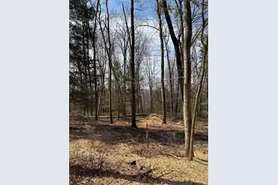 Lot 4 Chalybes Road West, Roxbury, CT 06783 - Photo 1