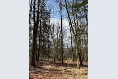 Lot 4 Chalybes Road West, Roxbury, CT 06783 - Photo 9