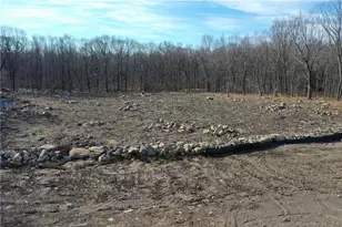 54 Northrop Rd, Woodbridge, CT 06525 - Photo 21