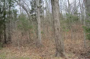 43 Fall Brook Rd, Killingly, CT 06243 - Photo 1