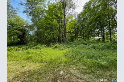 44 Keeler Road, Sharon, CT 06069 - Photo 13