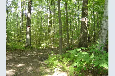 0 Porter Road, Ellington, CT 06029 - Photo 13