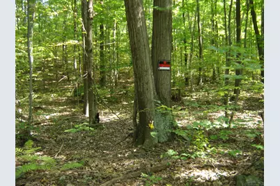 0 Porter Road, Ellington, CT 06029 - Photo 5