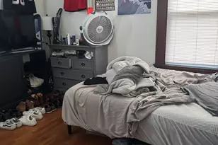 250 Willow St, New Haven, CT 06511 - Photo 21