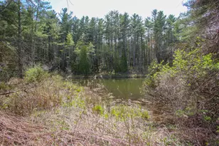 185 Route 63, Canaan, CT 06031 - Photo 31