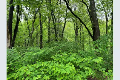 66 Union City Road, Prospect, CT 06712 - Photo 1