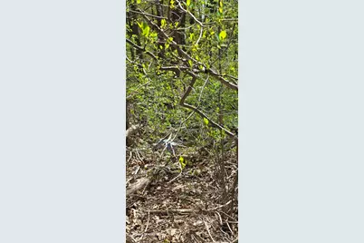 66 Union City Road, Prospect, CT 06712 - Photo 7