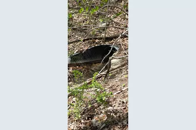 66 Union City Road, Prospect, CT 06712 - Photo 5