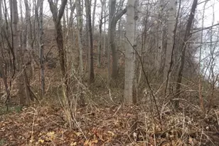 153 Grannis St, East Haven, CT 06512 - Photo 1