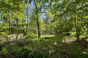 353A Hayden Hill Rd, Torrington, CT 06790 - Photo 5