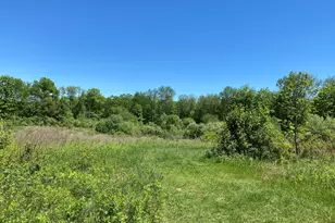 Christian St, Oxford, CT 06478 - Photo 3