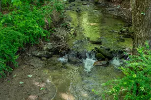 286 South St, Roxbury, CT 06783 - Photo 5