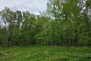 80 John Mack Rd, Hampton, CT 06247 - Photo 15