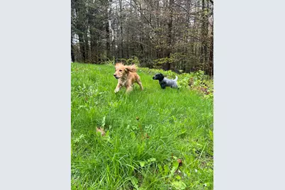 153 Mitchell Hill Road, Lyme, CT 06371 - Photo 37