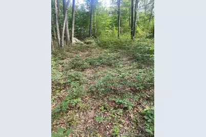 24 Costa Lane, Redding, CT 06896 - Photo 5