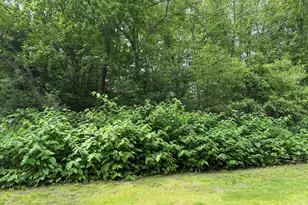 2 Sandra Ave, Plymouth, CT 06786 - Photo 1