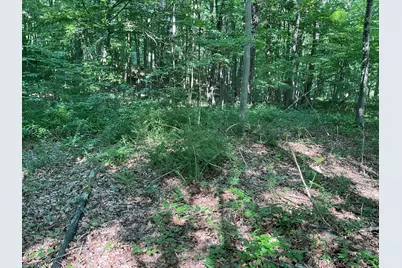 176 Picketts Ridge Road, Redding, CT 06896 - Photo 3