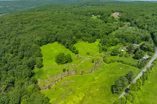 132 Curtiss Rd, Warren, CT 06777 - Photo 9