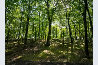 81 Mountain Road, Prospect, CT 06712 - Photo 13