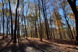 81 Mountain Rd, Prospect, CT 06712 - Photo 23