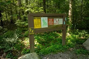 81 Mountain Rd, Prospect, CT 06712 - Photo 21