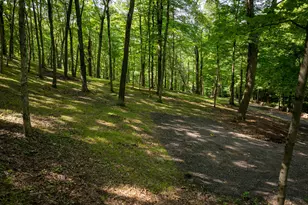 81 Mountain Rd, Prospect, CT 06712 - Photo 11