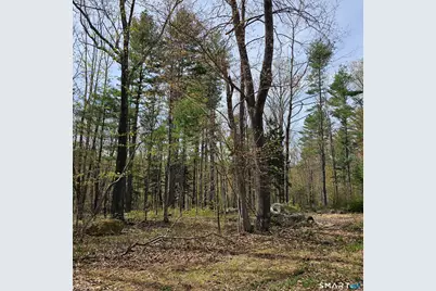 Jared Sparks Road, Willington, CT 06279 - Photo 5