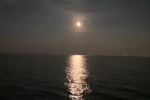 172 College Pl, Fairfield, CT 06824 - Photo 17