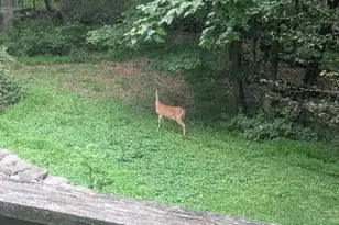 35 Sturbridge Rd, Easton, CT 06612 - Photo 9