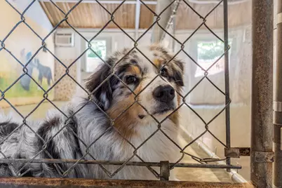 319 Main Street South, Bethlehem, CT 06751 - Photo 17