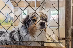 319 Main St S, Bethlehem, CT 06751 - Photo 17