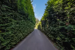 10 Middle Beach Rd W, Madison, CT 06443 - Photo 3