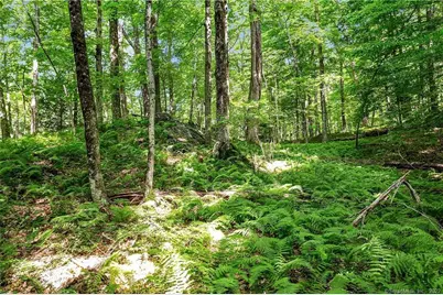 200 North Street, Roxbury, CT 06783 - Photo 19