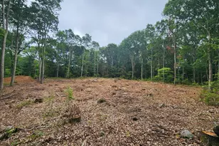 262 Route 81, Killingworth, CT 06419 - Photo 1