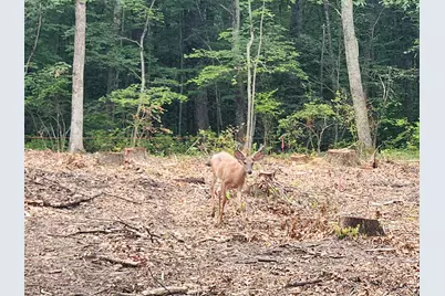 262 Route 81, Killingworth, CT 06419 - Photo 5