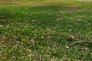 1638 Main St, South Windsor, CT 06074 - Photo 7