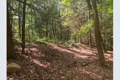 Lot 1 Chalybes Road West, Roxbury, CT 06783 - Photo 7