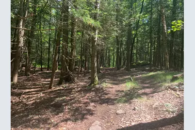 Lot 1 Chalybes Road West, Roxbury, CT 06783 - Photo 5