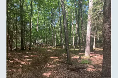 Lot 1 Chalybes Road West, Roxbury, CT 06783 - Photo 17