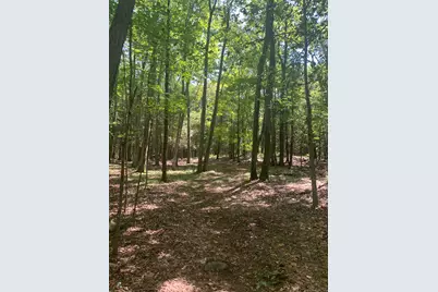 Lot 1 Chalybes Road West, Roxbury, CT 06783 - Photo 13