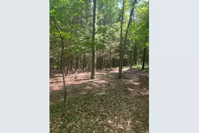 Lot 1 Chalybes Road West, Roxbury, CT 06783 - Photo 3