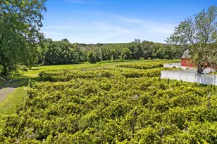 139 W Town St, Lebanon, CT 06249 - Photo 29