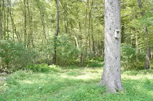 242 Herrick Rd, Brooklyn, CT 06234 - Photo 27