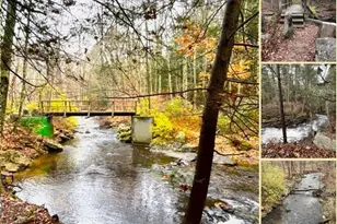 251 Reidy Hill Rd, Hebron, CT 06231 - Photo 39